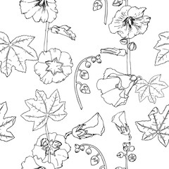 Malva seamless pattern Summer Flowers Sketches. - 301339787