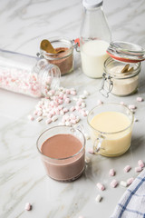 Fototapeta na wymiar Zubereitung von heißer, dunkle und weiße Trinkschokolade mit Milch, Kakaopulver und Marshmellows auf Marmor hell Hintergrund 