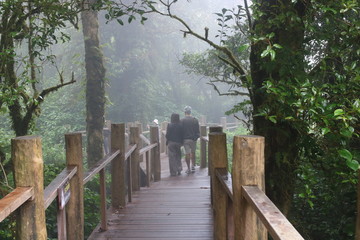 Fototapeta na wymiar Angkha Nature Study Route, Tropical Rain Forest at Doi Inthanon National Park, Chiang Mai Province, Thailand 
