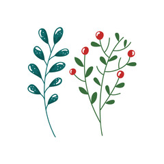 branch with leafs and seeds isolated icon vector illustration design