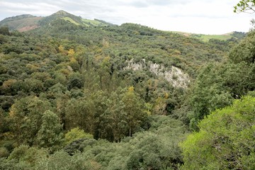 Fototapeta na wymiar View of the Nansa river path in Cantabria