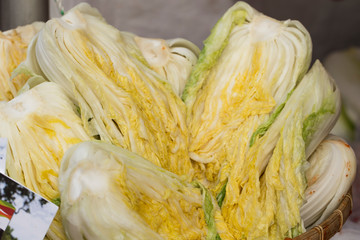 Cabbage in salt to drain water. kimchi-making process