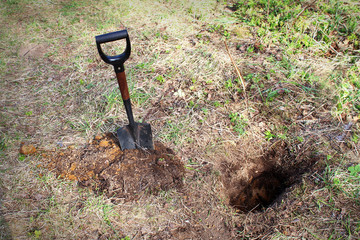 A shovel stuck in the ground and a small dug hole near, dry and green grass all around.