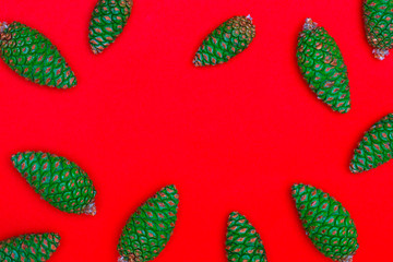 Background with green cones of wild pine (Pinus Silvestris L.). On red background. For background or Christmas card. Space to insert your text.