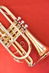 The cornet on the red carpet