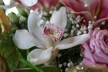 Flowers in festive attire, elegance