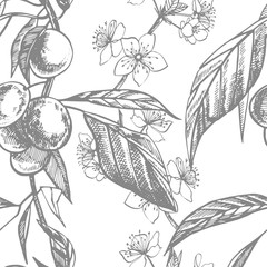 Plums hand drawn illustration. Ink sketch. Hand drawn illustration. Seamless pattern. Healthy organic food. Farm market products. Best for package design.