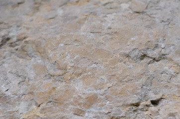 Texture of rocks in the mountains in summer, moss, grass, trees.