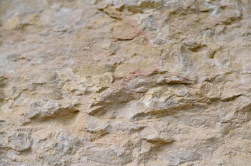 Texture of rocks in the mountains in summer, moss, grass, trees.