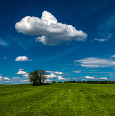 Obraz premium The sky and landscape in Bavaria, closed to the mountains the alps with beatufil clouds, fields and lakes 