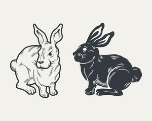 Fototapeta na wymiar Illustration of rabbit silhouette, hand drawing