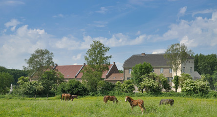 Idylle im Naturschutzgebiet Urdenbacher Kämpe in Düsseldorf,Nordrhein-Westfalen,Deutschland