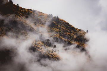 Landscape of Madeira - Misty mountains