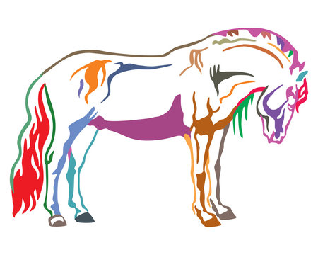 Colorful vector horse 2