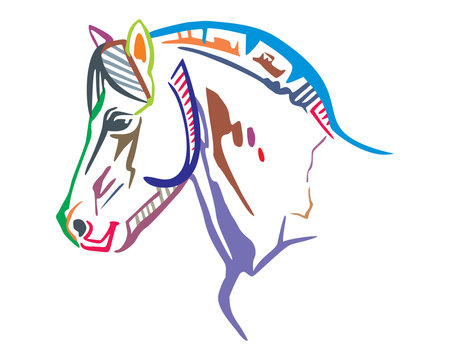 Colorful vector horse portrait 2