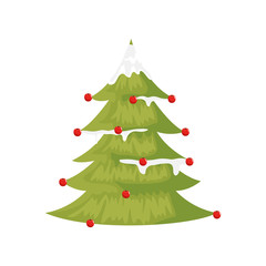 pine tree christmas with balls isolated icon vector illustration design