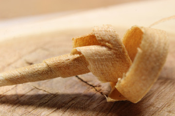 Makroaufnahmen Holzspan