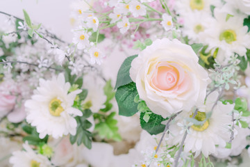 Obraz na płótnie Canvas White roses soft blur background for wedding