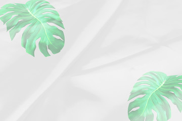 green monstera leaves pattern overlay with white fabric texture soft blur background