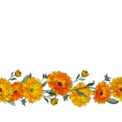Vector border with yellow flowers calendula on white background. Seamless brush pattern. Design for greeting card, invitation, banner, save the date. - obrazy, fototapety, plakaty