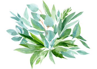 bouquet  of abstract leaves, eucalyptus on an isolated white background, watercolor, hand-drawing