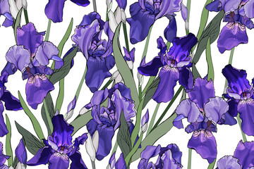 Beautiful seamless pattern with purple flowers and green leaves on white.Hand drawn.Background with violet irises for your design, prints, textile,web pages.Realistic style. Vector stock illustration.