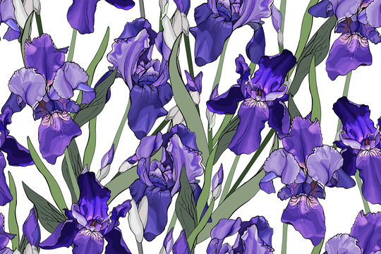 Beautiful seamless pattern with purple flowers and green leaves on white.Hand drawn.Background with violet irises for your design, prints, textile,web pages.Realistic style. Vector stock illustration.
