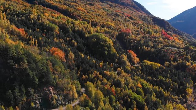lanuza embalse bosque oto&ntilde;o autumn arboles huesca arag&oacute;n pirineos