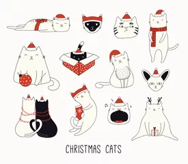  Verzameling van leuke grappige doodles van verschillende katten in Santa Claus-hoeden. Geïsoleerde objecten op een witte achtergrond. Hand getekend vectorillustratie. Lijntekening. Ontwerpconcept voor kerstkaart uitnodigen. © Maria Skrigan