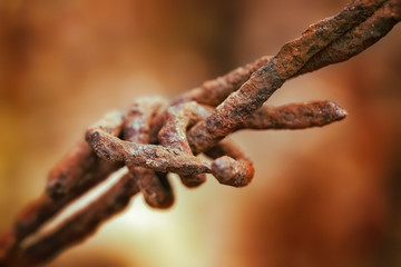 Rusty barbed wire on bokeh background