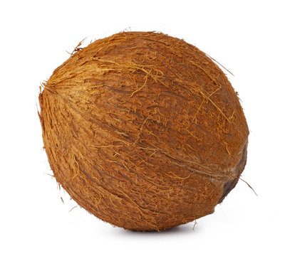 Whole coconut close up isolated on white background