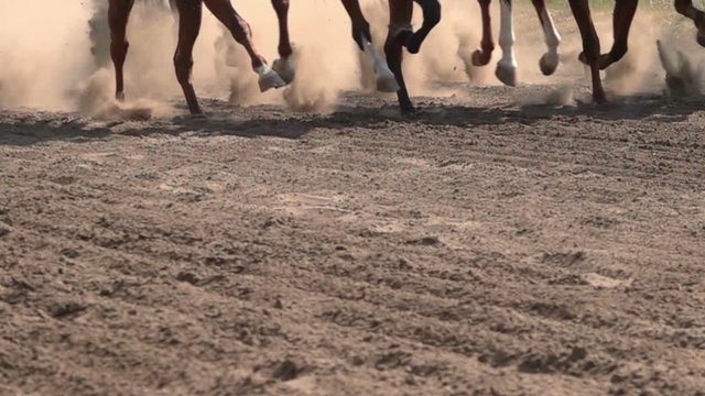 Horse Racing. The Feet of the Horses at the Racetrack Raising Dust and Dirt. Close Up. Slow motion.
