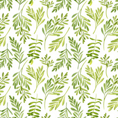 Naklejka na ściany i meble Watercolor tea tree leaves seamless pattern. Hand drawn illustration of Melaleuca. Green medicinal plant isolated on white background. Herbs for cosmetics, package, textile, essential oil.