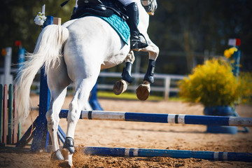 A beautiful white horse with a waving tail jumps over the blue barrier, raising dust with its...
