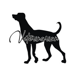  Veterinarian, black dog, vector illustration