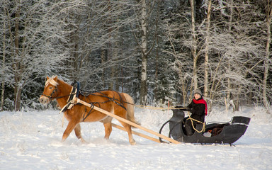 Woman and horse with sleigh in winter