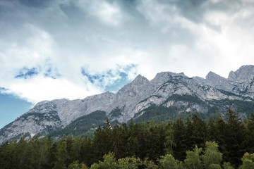 Summer landscape with european alps and pine forest in Austria