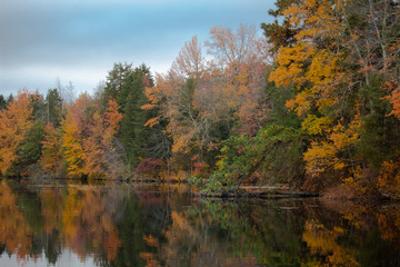 Fototapeta premium autumn in the park
