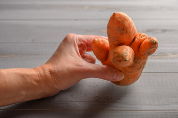 Woman hand takes ugly carrots concept on wooden background. Copy space