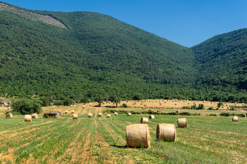 Rural landscape near Priverno, Lazio