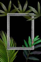 Green leaves pattern with white frame for nature concept,tropical leaf tree textured background