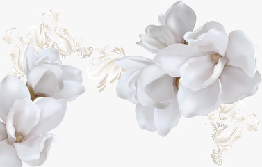 Delicate light background with magnolias