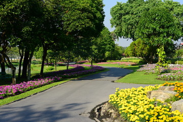 View Of Trees In Park