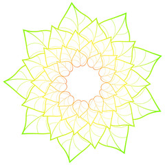 delicate illustration with round ornaments consisting of elements in the form of leaves