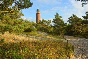 Fototapeta na wymiar beautiful landscape with the historical Lighthouse at the Darß peninsula in Mecklenburg Germany