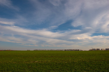 autumn field on a sunny day