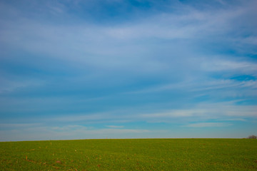 sky over the autumn field