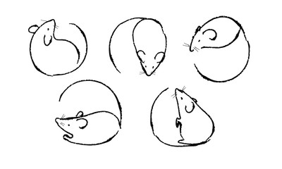 Set of linear mouse icons. Several top and side views, brush drawing. Minimalistic logo, symbol, sign of mouse, rat, rodent. Black outline isolated on white background. Vector