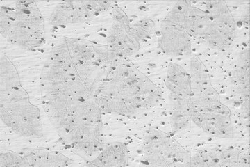 White wall or gray paper texture with leaves pattern,abstract cement surface background,concrete pattern,painted cement