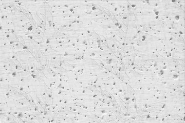 White wall or gray paper texture with leaves pattern,abstract cement surface background,concrete pattern,painted cement